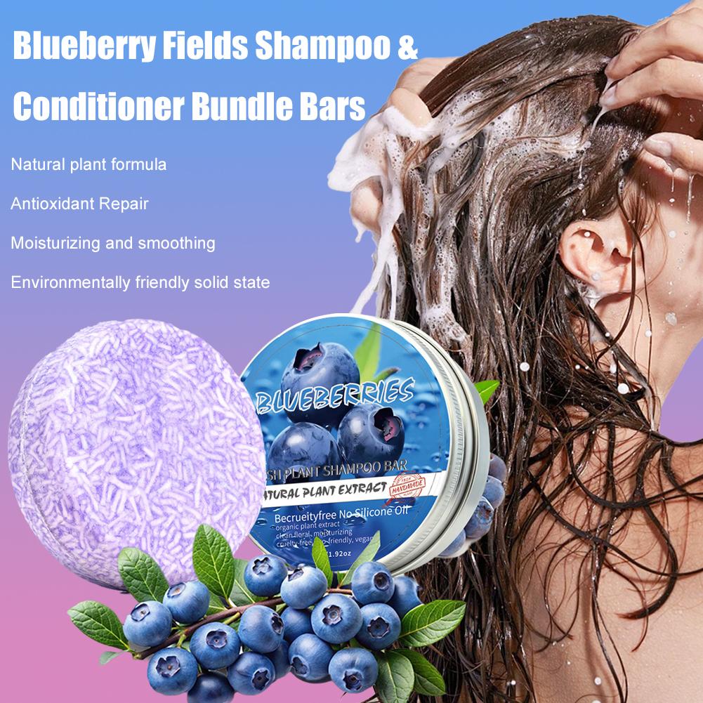 Blueberry Shampoo Soap Handmad - Hair Care Tonic review and price